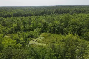 472 Eaton Ferry Rd, Littleton, NC 27850 - Photo 72