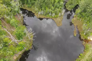 472 Eaton Ferry Rd, Littleton, NC 27850 - Photo 66