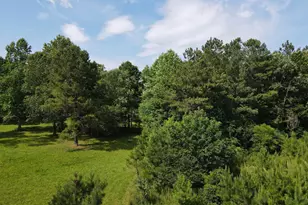 472 Eaton Ferry Rd, Littleton, NC 27850 - Photo 54