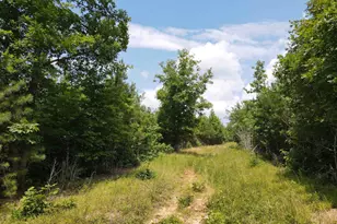 472 Eaton Ferry Rd, Littleton, NC 27850 - Photo 32