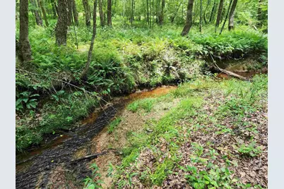 472 Eaton Ferry Road, Littleton, NC 27850 - Photo 48