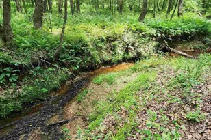 472 Eaton Ferry Rd, Littleton, NC 27850 - Photo 48