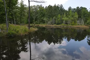 472 Eaton Ferry Rd, Littleton, NC 27850 - Photo 60