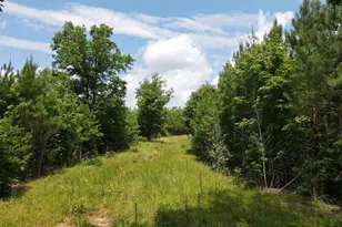 472 Eaton Ferry Rd, Littleton, NC 27850 - Photo 34