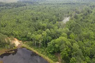 472 Eaton Ferry Rd, Littleton, NC 27850 - Photo 84