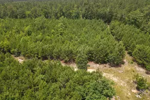 472 Eaton Ferry Rd, Littleton, NC 27850 - Photo 40