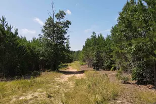 472 Eaton Ferry Rd, Littleton, NC 27850 - Photo 24