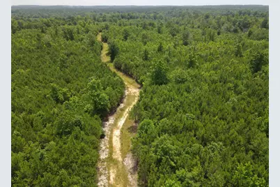 472 Eaton Ferry Road, Littleton, NC 27850 - Photo 38