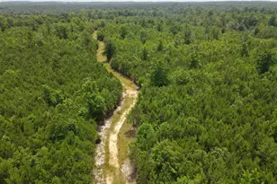 472 Eaton Ferry Rd, Littleton, NC 27850 - Photo 38