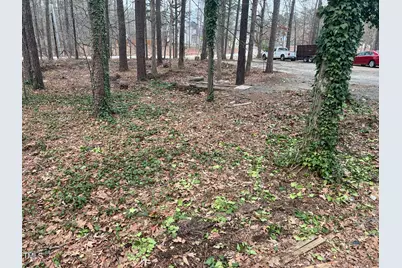 118 Stella Court, Morrisville, NC 27560 - Photo 8