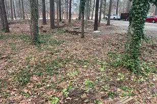 118 Stella Ct, Morrisville, NC 27560 - Photo 8