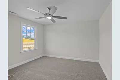 316 Little  Lady Trail, Zebulon, NC 27597 - Photo 32