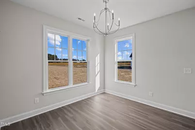 316 Little  Lady Trail, Zebulon, NC 27597 - Photo 10