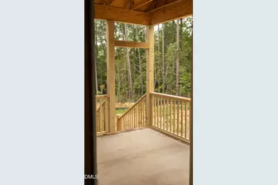 316 Little  Lady Trail, Zebulon, NC 27597 - Photo 6