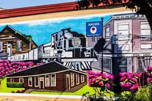 17 Silver Pne Dr, Angier, NC 27501 - Photo 50