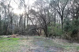 105 Mary St, Carrboro, NC 27510 - Photo 6