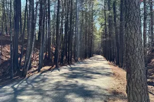 10016 Secluded Garden Dr Rd, Apex, NC 27523 - Photo 6