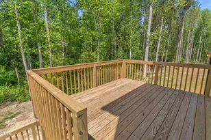 209 E American Marigold Dr, Benson, NC 27504 - Photo 42
