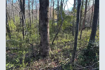 1006 Stephenson Road, Benson, NC 27504 - Photo 22