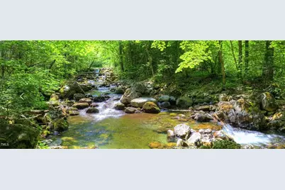 140 Clear Springs Court #17, Pittsboro, NC 27312 - Photo 4