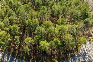 63 Pennington Cir, Chapel Hill, NC 27517 - Photo 18