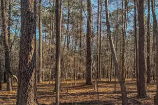 604 Orange Factory Rd, Bahama, NC 27503 - Photo 12