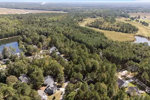 887 Thrush Dr, Vass, NC 28394 - Photo 44