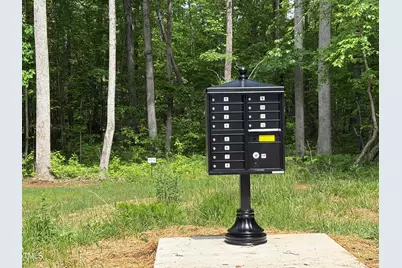 0009 Tallulah Loop Lane, Cedar Grove, NC 27231 - Photo 8