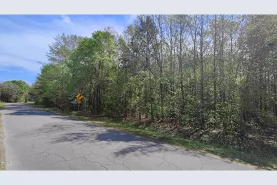 0 Nc Hwy 902 & Richardson Rd, Pittsboro, NC 27312 - Photo 6