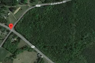 0 Nc Hwy 902 & Richardson Rd, Pittsboro, NC 27312 - Photo 1