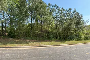 123 Bur Oak Ct, Pittsboro, NC 27312 - Photo 1