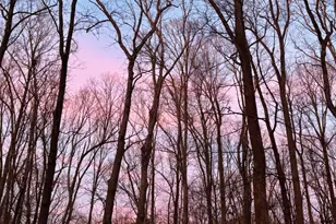 158 Poplar St, Chapel Hill, NC 27516 - Photo 38