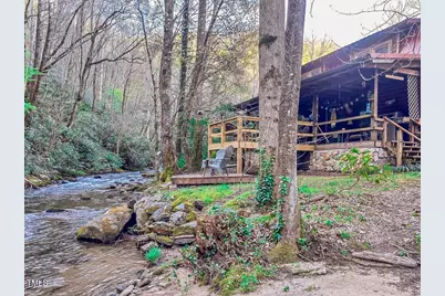 4989 W Buffalo Road, Robbinsville, NC 28771 - Photo 6