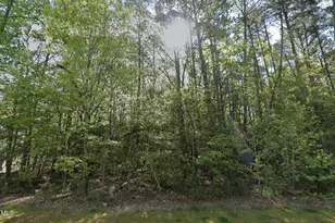 191 Bonica Creek Dr, Garner, NC 27529 - Photo 1