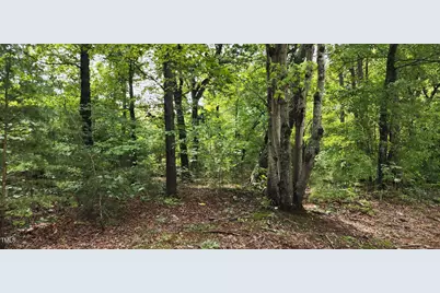 Tbd Mill Creek Road, Cedar Grove, NC 27231 - Photo 4