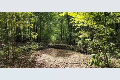Tbd Mill Creek Road, Cedar Grove, NC 27231 - Photo 2
