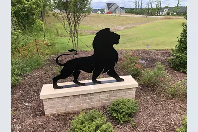 2590 Silas Peak Lane, Apex, NC 27523 - Photo 2