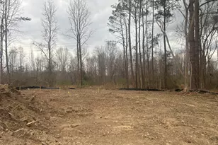 1667 Pecan Dr, Nashville, NC 27856 - Photo 22