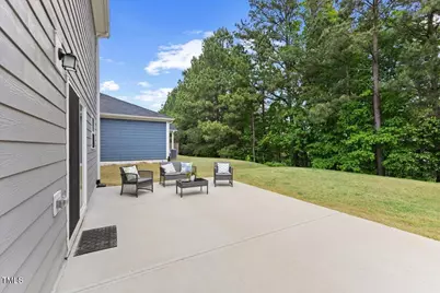 230 Purple Aster St Street, Youngsville, NC 27596 - Photo 10