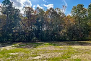 196 Cozy Brk Ct, Clayton, NC 27520 - Photo 24