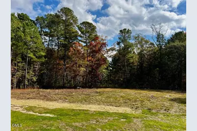 196 Cozy Brook Court, Clayton, NC 27520 - Photo 26