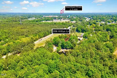 206 Kittys Lane, Erwin, NC 28339 - Photo 44