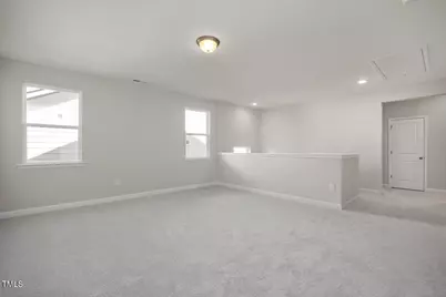 436 Golden Dragonfly Street, Wake Forest, NC 27587 - Photo 24