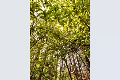 0 S Plank (Track 2) Road, Sanford, NC 27330 - Photo 34