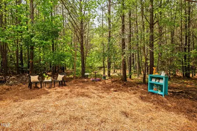 0 S Plank (Track 2) Road, Sanford, NC 27330 - Photo 2