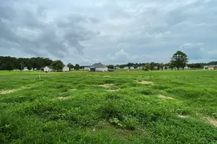 167 Lotus Ave, Smithfield, NC 27577 - Photo 24