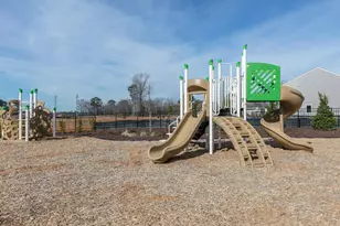 177 Holton St, Wilsons Mills, NC 27577 - Photo 28