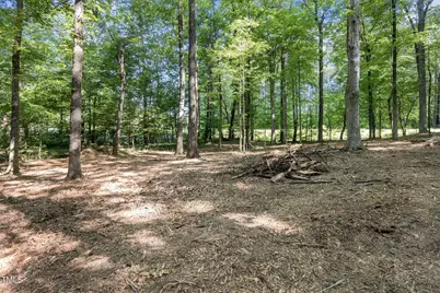Lot 3 Helena Moriah Road, Timberlake, NC 27583 - Photo 4
