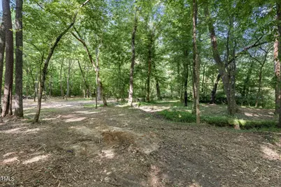 Lot 2 Helena Moriah Road, Timberlake, NC 27583 - Photo 6