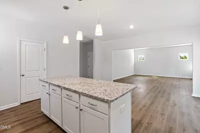 272 Alice Trace Place, Angier, NC 27501 - Photo 14